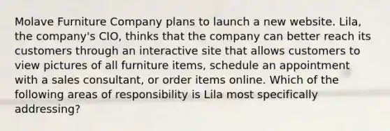 Molave Furniture Company plans to launch a new website. Lila, the company's CIO, thinks that the company can better reach its customers through an interactive site that allows customers to view pictures of all furniture items, schedule an appointment with a sales consultant, or order items online. Which of the following areas of responsibility is Lila most specifically addressing?