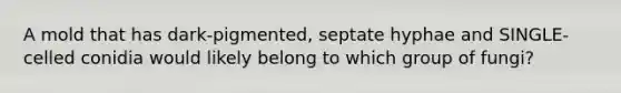 A mold that has dark-pigmented, septate hyphae and SINGLE-celled conidia would likely belong to which group of fungi?