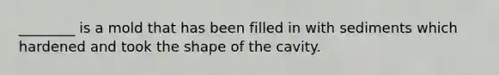 ________ is a mold that has been filled in with sediments which hardened and took the shape of the cavity.
