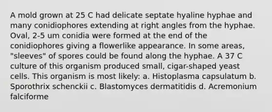 A mold grown at 25 C had delicate septate hyaline hyphae and many conidiophores extending at <a href='https://www.questionai.com/knowledge/kIh722csLJ-right-angle' class='anchor-knowledge'>right angle</a>s from the hyphae. Oval, 2-5 um conidia were formed at the end of the conidiophores giving a flowerlike appearance. In some areas, "sleeves" of spores could be found along the hyphae. A 37 C culture of this organism produced small, cigar-shaped yeast cells. This organism is most likely: a. Histoplasma capsulatum b. Sporothrix schenckii c. Blastomyces dermatitidis d. Acremonium falciforme