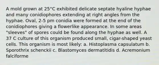 A mold grown at 25°C exhibited delicate septate hyaline hyphae and many conidiophores extending at right angles from the hyphae. Oval, 2-5 pm conidia were formed at the end of the conidiophores giving a flowerlike appearance. In some areas "sleeves" of spores could be found along the hyphae as well. A 37 C culture of this organism produced small, cigar-shaped yeast cells. This organism is most likely: a. Histoplasma capsulatum b. Sporothrix schenckii c. Blastomyces dermatitidis d. Acremonium falciforme