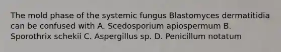 The mold phase of the systemic fungus Blastomyces dermatitidia can be confused with A. Scedosporium apiospermum B. Sporothrix schekii C. Aspergillus sp. D. Penicillum notatum