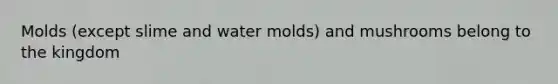 Molds (except slime and <a href='https://www.questionai.com/knowledge/kIFNBmzf0u-water-molds' class='anchor-knowledge'>water molds</a>) and mushrooms belong to the kingdom