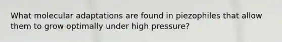 What molecular adaptations are found in piezophiles that allow them to grow optimally under high pressure?