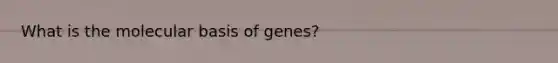 What is the molecular basis of genes?