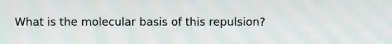 What is the molecular basis of this repulsion?