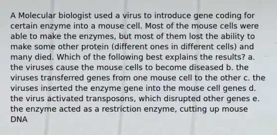 A Molecular biologist used a virus to introduce gene coding for certain enzyme into a mouse cell. Most of the mouse cells were able to make the enzymes, but most of them lost the ability to make some other protein (different ones in different cells) and many died. Which of the following best explains the results? a. the viruses cause the mouse cells to become diseased b. the viruses transferred genes from one mouse cell to the other c. the viruses inserted the enzyme gene into the mouse cell genes d. the virus activated transposons, which disrupted other genes e. the enzyme acted as a restriction enzyme, cutting up mouse DNA