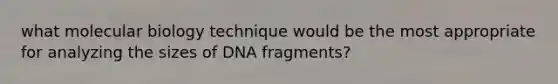 what molecular biology technique would be the most appropriate for analyzing the sizes of DNA fragments?