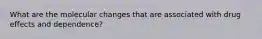 What are the molecular changes that are associated with drug effects and dependence?