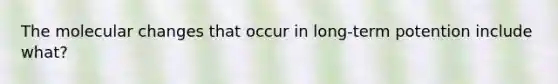 The molecular changes that occur in long-term potention include what?