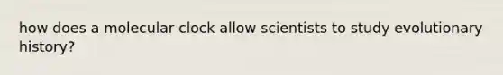 how does a molecular clock allow scientists to study evolutionary history?