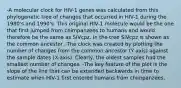 -A molecular clock for HIV-1 genes was calculated from this phylogenetic tree of changes that occurred in HIV-1 during the 1980's and 1990's. This original HIV-1 molecule would be the one that first jumped from chimpanzees to humans and would therefore be the same as SIVcpz. In the tree SIVcpz is shown as the common ancestor. -The clock was created by plotting the number of changes from the common ancestor (Y axis) against the sample dates (X-axis). Clearly, the oldest samples had the smallest number of changes. -The key feature of the plot is the slope of the line that can be extended backwards in time to estimate when HIV-1 first entered humans from chimpanzees.