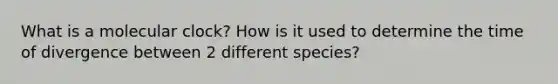 What is a molecular clock? How is it used to determine the time of divergence between 2 different species?