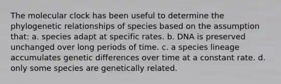 The molecular clock has been useful to determine the phylogenetic relationships of species based on the assumption that: a. species adapt at specific rates. b. DNA is preserved unchanged over long periods of time. c. a species lineage accumulates genetic differences over time at a constant rate. d. only some species are genetically related.