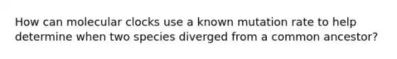 How can molecular clocks use a known mutation rate to help determine when two species diverged from a common ancestor?