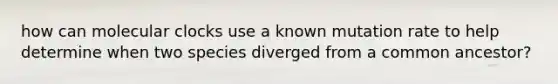 how can molecular clocks use a known mutation rate to help determine when two species diverged from a common ancestor?