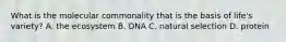 What is the molecular commonality that is the basis of life's variety? A. the ecosystem B. DNA C. natural selection D. protein