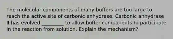 The molecular components of many buffers are too large to reach the active site of carbonic anhydrase. Carbonic anhydrase II has evolved _________ to allow buffer components to participate in the reaction from solution. Explain the mechanism?