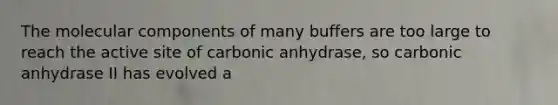 The molecular components of many buffers are too large to reach the active site of carbonic anhydrase, so carbonic anhydrase II has evolved a