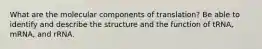 What are the molecular components of translation? Be able to identify and describe the structure and the function of tRNA, mRNA, and rRNA.