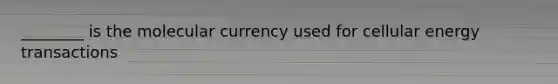 ________ is the molecular currency used for cellular energy transactions