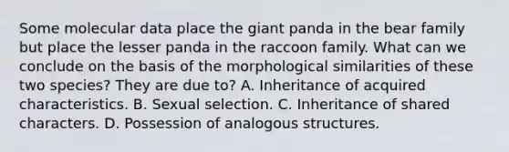 Some molecular data place the giant panda in the bear family but place the lesser panda in the raccoon family. What can we conclude on the basis of the morphological similarities of these two species? They are due to? A. Inheritance of acquired characteristics. B. Sexual selection. C. Inheritance of shared characters. D. Possession of analogous structures.