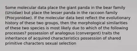 Some molecular data place the giant panda in the bear family (Ursidae) but place the lesser panda in the raccoon family (Procyonidae). If the molecular data best reflect the evolutionary history of these two groups, then the morphological similarities of these two species is most likely due to which of the following processes? possession of analogous (convergent) traits the inheritance of acquired characteristics possession of shared primitive characters sexual selection