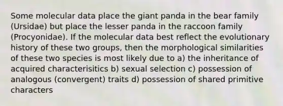 Some molecular data place the giant panda in the bear family (Ursidae) but place the lesser panda in the raccoon family (Procyonidae). If the molecular data best reflect the evolutionary history of these two groups, then the morphological similarities of these two species is most likely due to a) the inheritance of acquired characterisitics b) sexual selection c) possession of analogous (convergent) traits d) possession of shared primitive characters