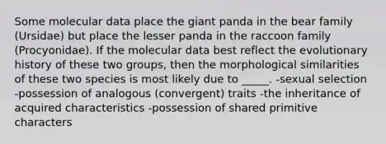 Some molecular data place the giant panda in the bear family (Ursidae) but place the lesser panda in the raccoon family (Procyonidae). If the molecular data best reflect the evolutionary history of these two groups, then the morphological similarities of these two species is most likely due to _____. -sexual selection -possession of analogous (convergent) traits -the inheritance of acquired characteristics -possession of shared primitive characters