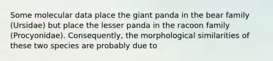 Some molecular data place the giant panda in the bear family (Ursidae) but place the lesser panda in the racoon family (Procyonidae). Consequently, the morphological similarities of these two species are probably due to