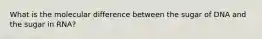 What is the molecular difference between the sugar of DNA and the sugar in RNA?