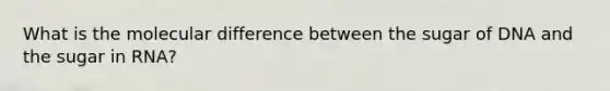 What is the molecular difference between the sugar of DNA and the sugar in RNA?
