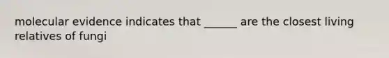 molecular evidence indicates that ______ are the closest living relatives of fungi