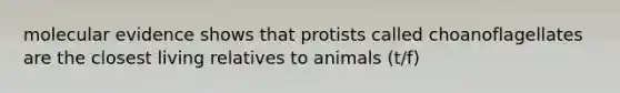 molecular evidence shows that protists called choanoflagellates are the closest living relatives to animals (t/f)