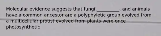 Molecular evidence suggests that fungi __________. and animals have a common ancestor are a polyphyletic group evolved from a multicellular protist evolved from plants were once photosynthetic