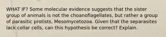 WHAT IF? Some molecular evidence suggests that the sister group of animals is not the choanoflagellates, but rather a group of parasitic protists, Mesomycetozoa. Given that the separasites lack collar cells, can this hypothesis be correct? Explain.