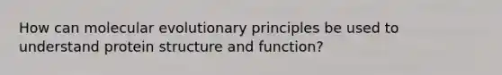 How can molecular evolutionary principles be used to understand protein structure and function?