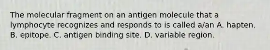 The molecular fragment on an antigen molecule that a lymphocyte recognizes and responds to is called a/an A. hapten. B. epitope. C. antigen binding site. D. variable region.