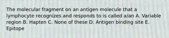 The molecular fragment on an antigen molecule that a lymphocyte recognizes and responds to is called a/an A. Variable region B. Hapten C. None of these D. Antigen binding site E. Epitope