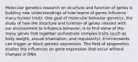 Molecular genetics research on structure and function of genes is building new understandings of how teams of genes influence many human traits. One goal of molecular behavior genetics, the study of how the structure and function of genes interact with our environment to influence behavior, is to find some of the many genes that together orchestrate complex traits (such as body weight, sexual orientation, and impulsivity). Environments can trigger or block genetic expression. The field of epigenetics studies the influences on gene expression that occur without changes in DNA.