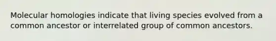 Molecular homologies indicate that living species evolved from a common ancestor or interrelated group of common ancestors.