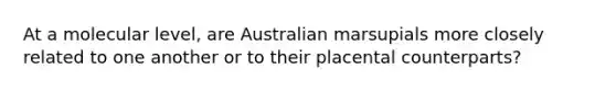 At a molecular level, are Australian marsupials more closely related to one another or to their placental counterparts?