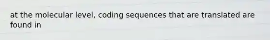 at the molecular level, coding sequences that are translated are found in