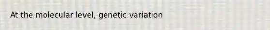 At the molecular level, genetic variation