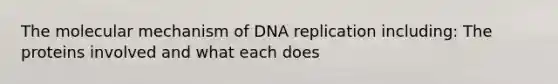 The molecular mechanism of DNA replication including: The proteins involved and what each does