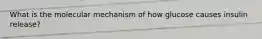 What is the molecular mechanism of how glucose causes insulin release?