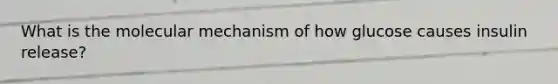 What is the molecular mechanism of how glucose causes insulin release?