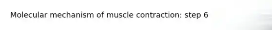 Molecular mechanism of muscle contraction: step 6