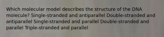 Which molecular model describes the structure of the DNA molecule? Single-stranded and antiparallel Double-stranded and antiparallel Single-stranded and parallel Double-stranded and parallel Triple-stranded and parallel