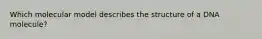 Which molecular model describes the structure of a DNA molecule?